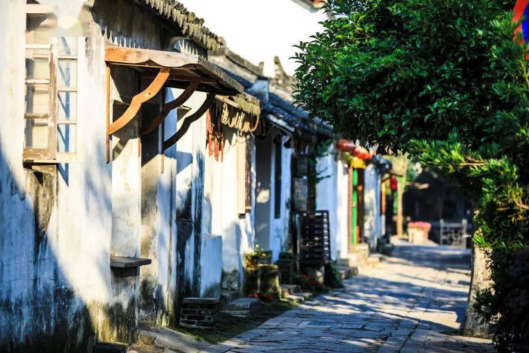 深德鸿环保：全生物降解的塑料能应用于哪些领域呢？