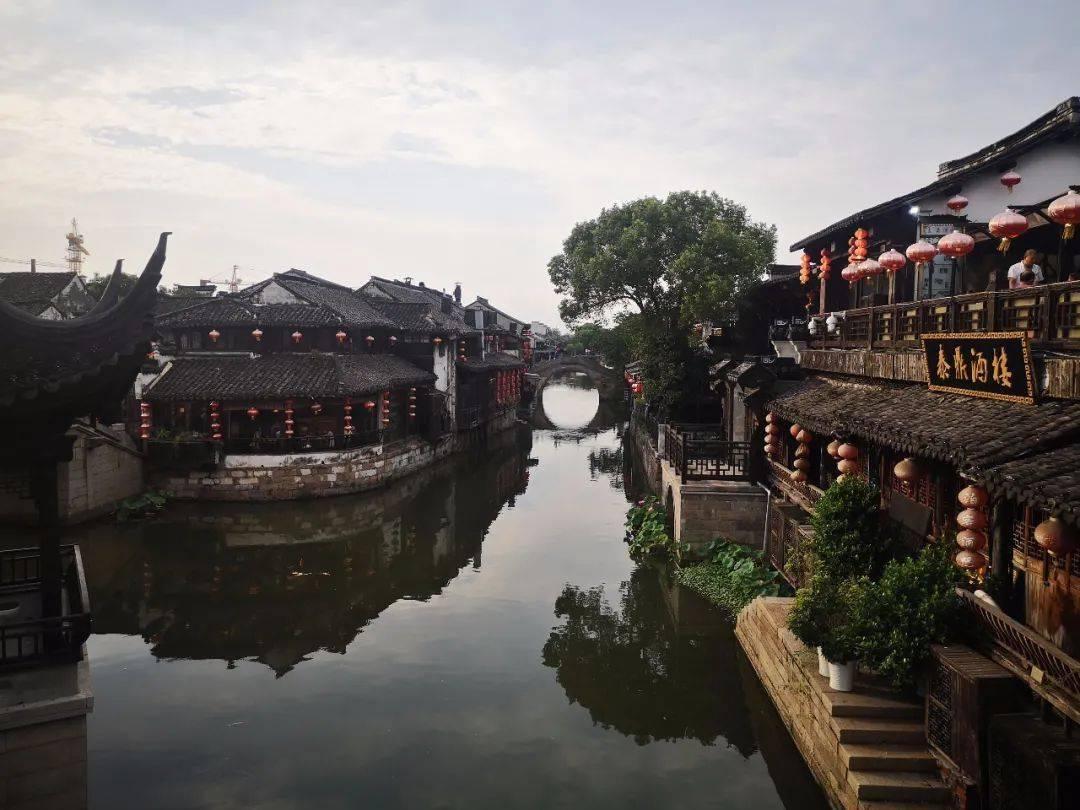 动物帮帮忙保卫家园